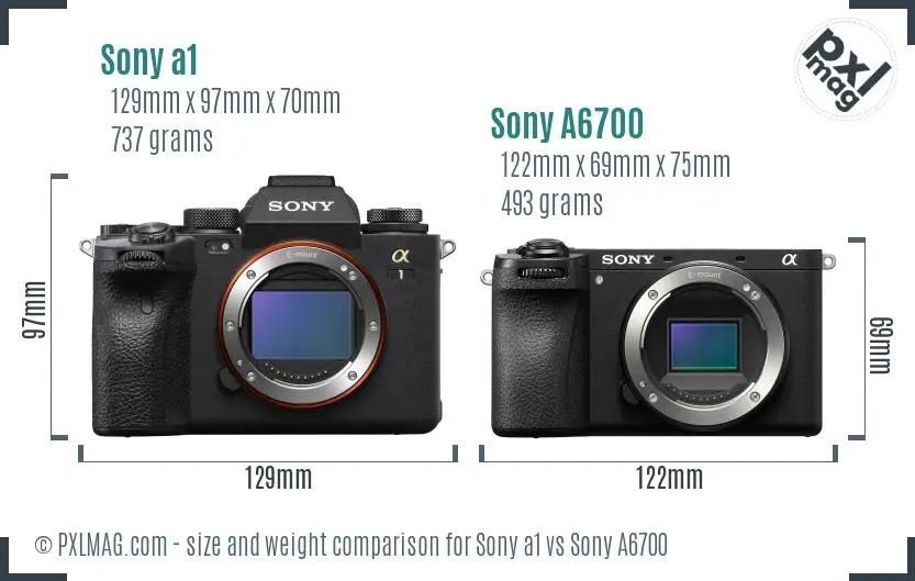 Sony a1 vs Sony A6700 size comparison Sony a1 vs Sony A6700 size comparison
