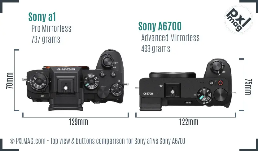 Sony a1 vs Sony A6700 top view buttons comparison Sony a1 vs Sony A6700 top view buttons comparison