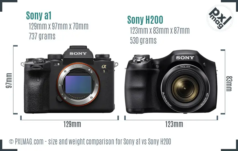 Sony a1 vs Sony H200 size comparison