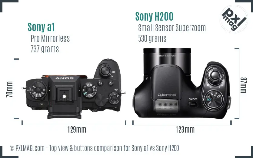 Sony a1 vs Sony H200 top view buttons comparison