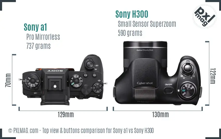 Sony a1 vs Sony H300 top view buttons comparison