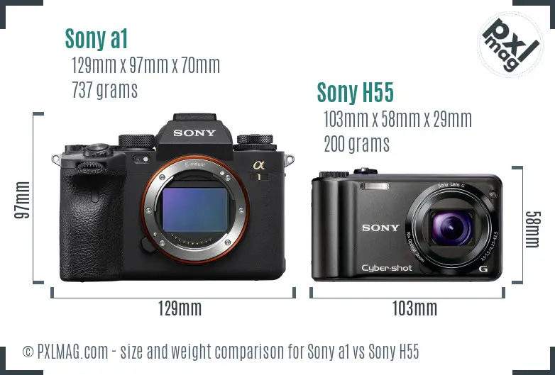 Sony a1 vs Sony H55 size comparison