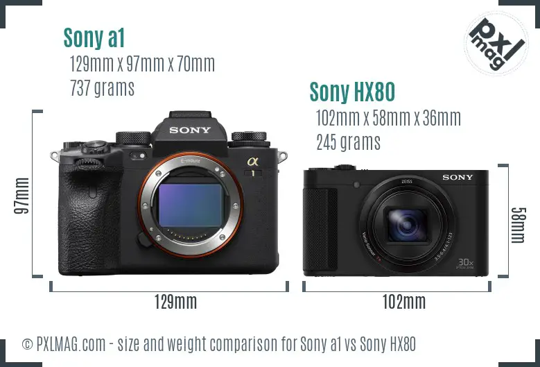 Sony a1 vs Sony HX80 size comparison