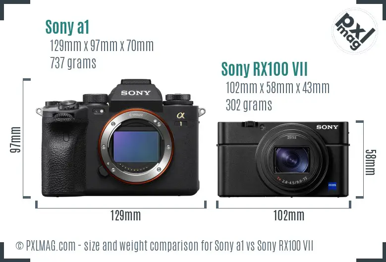 Sony a1 vs Sony RX100 VII size comparison