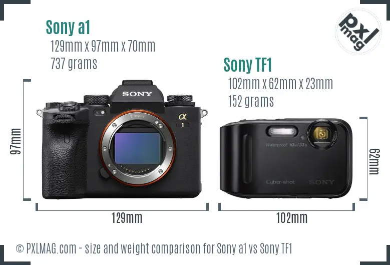 Sony a1 vs Sony TF1 size comparison