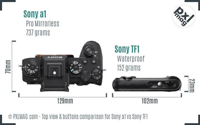 Sony a1 vs Sony TF1 top view buttons comparison