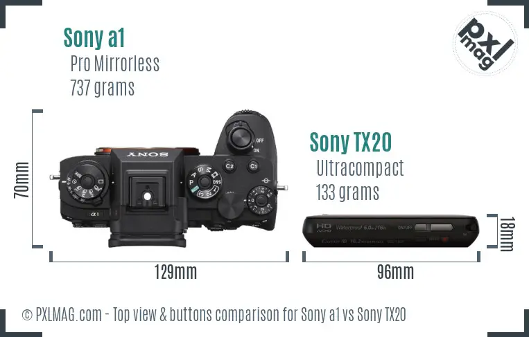 Sony a1 vs Sony TX20 top view buttons comparison