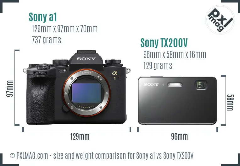 Sony a1 vs Sony TX200V size comparison