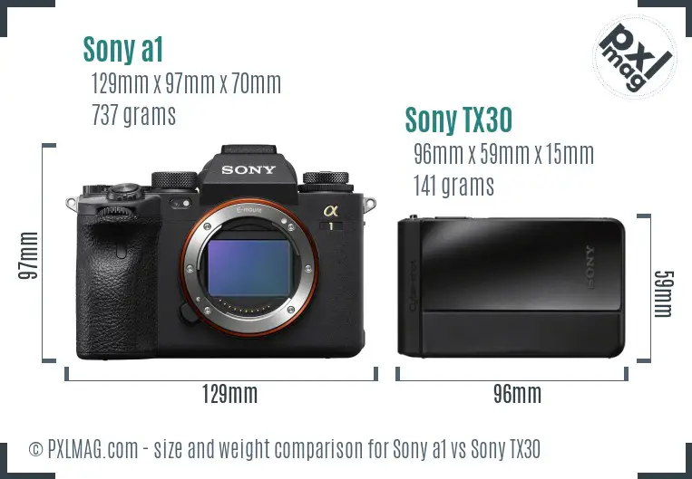 Sony a1 vs Sony TX30 size comparison