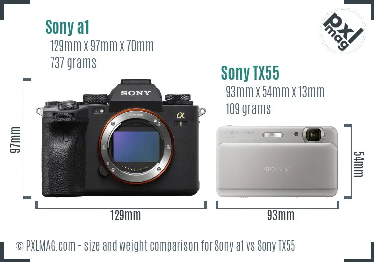 Sony a1 vs Sony TX55 size comparison