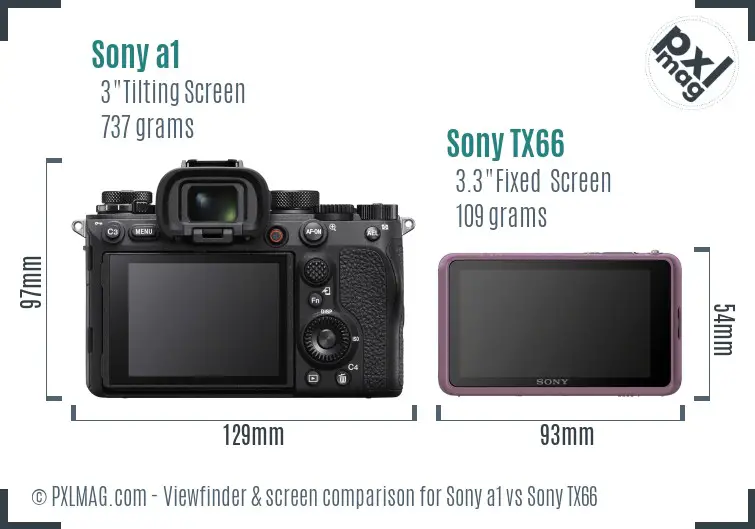 Sony a1 vs Sony TX66 Screen and Viewfinder comparison