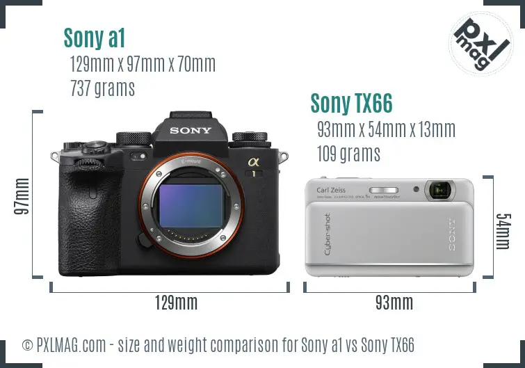 Sony a1 vs Sony TX66 size comparison