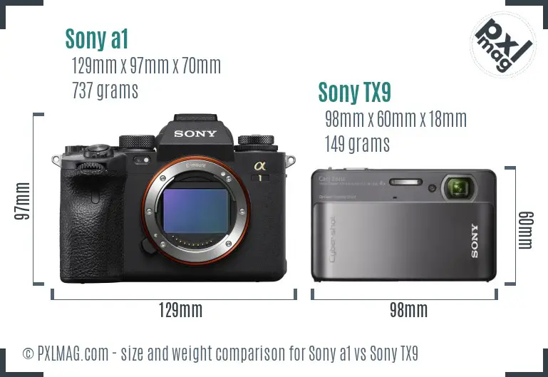 Sony a1 vs Sony TX9 size comparison