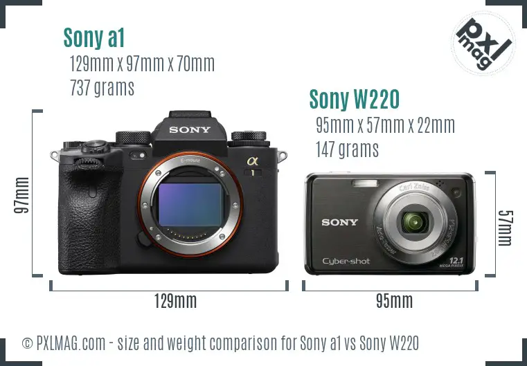 Sony a1 vs Sony W220 size comparison