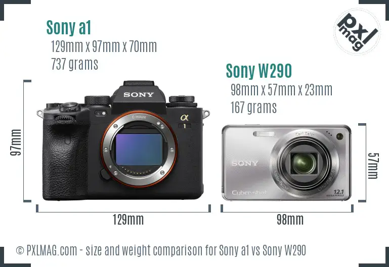 Sony a1 vs Sony W290 size comparison