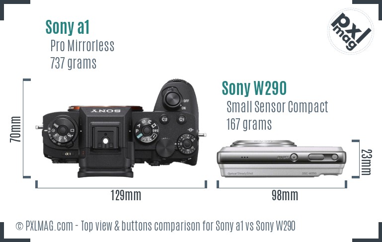 Sony a1 vs Sony W290 top view buttons comparison
