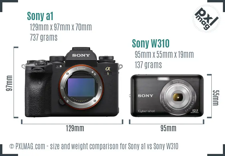 Sony a1 vs Sony W310 size comparison