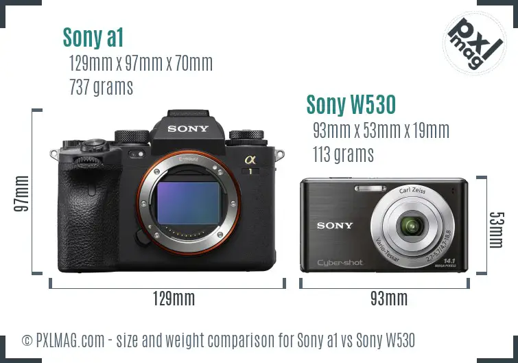 Sony a1 vs Sony W530 size comparison