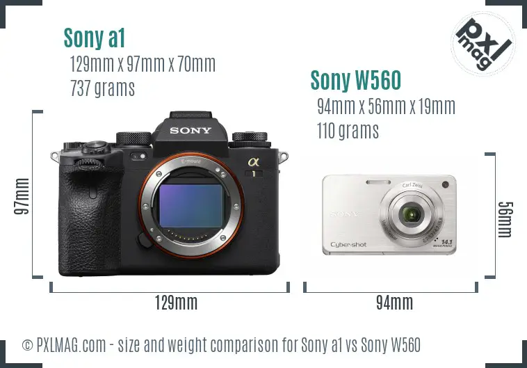 Sony a1 vs Sony W560 size comparison