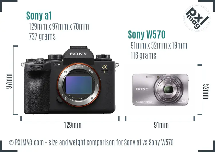 Sony a1 vs Sony W570 size comparison