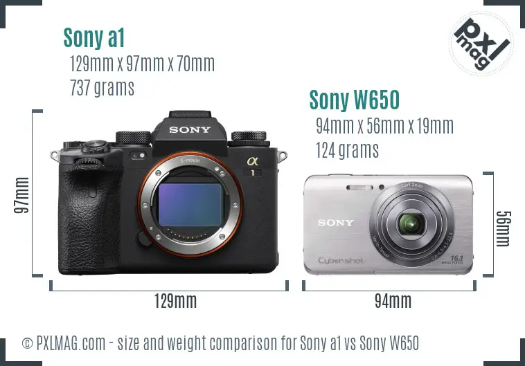 Sony a1 vs Sony W650 size comparison