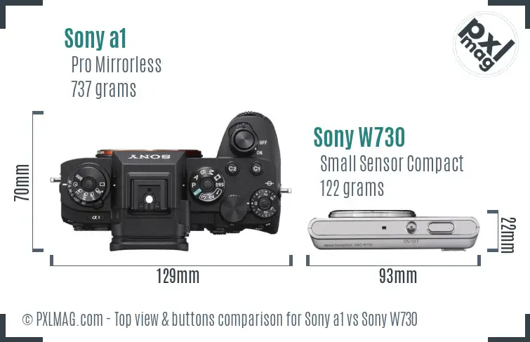 Sony a1 vs Sony W730 top view buttons comparison