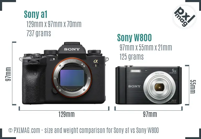 Sony a1 vs Sony W800 size comparison