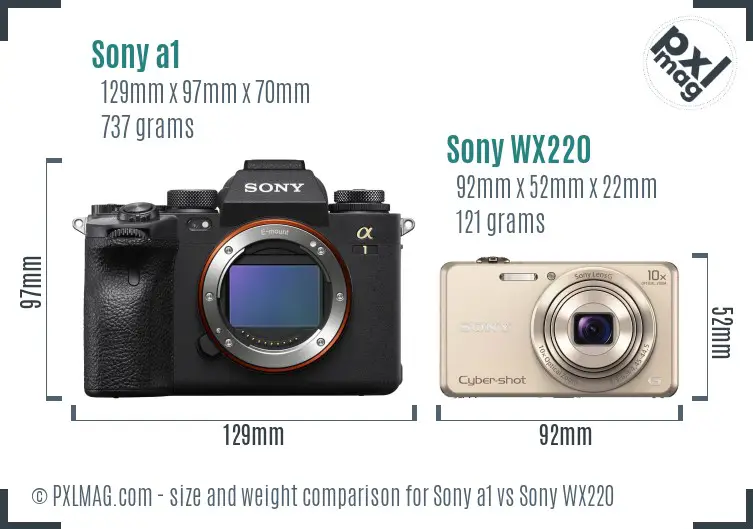 Sony a1 vs Sony WX220 size comparison
