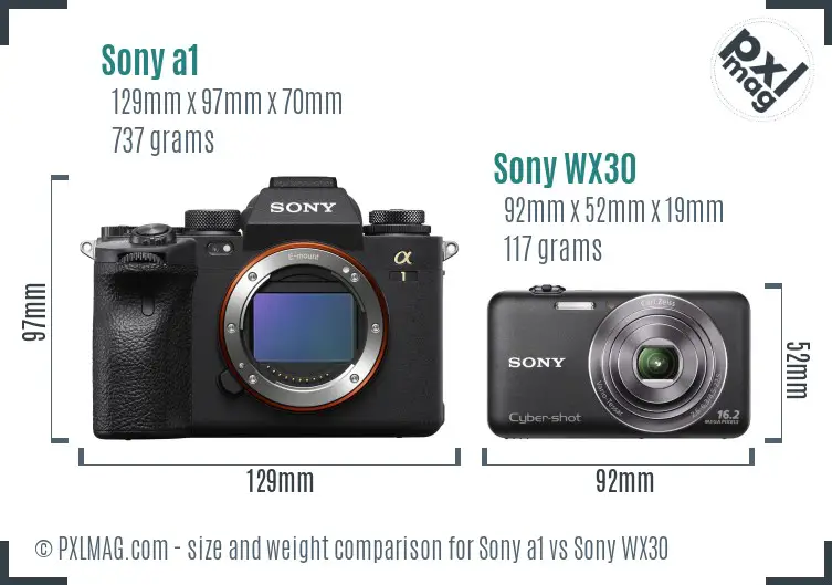 Sony a1 vs Sony WX30 size comparison Sony a1 vs Sony WX30 size comparison