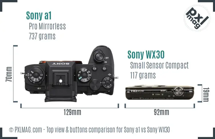 Sony a1 vs Sony WX30 top view buttons comparison Sony a1 vs Sony WX30 top view buttons comparison