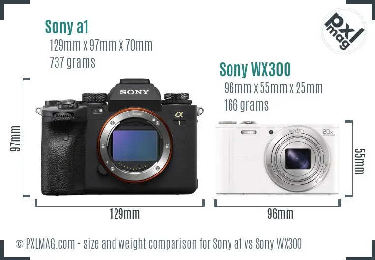 Sony a1 vs Sony WX300 size comparison