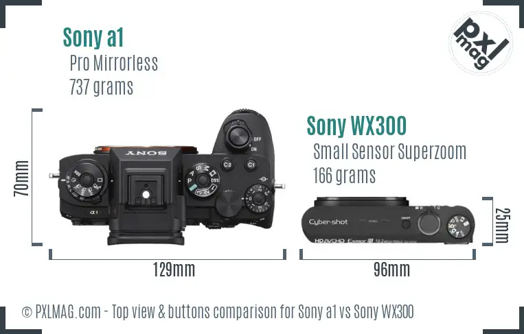 Sony a1 vs Sony WX300 top view buttons comparison