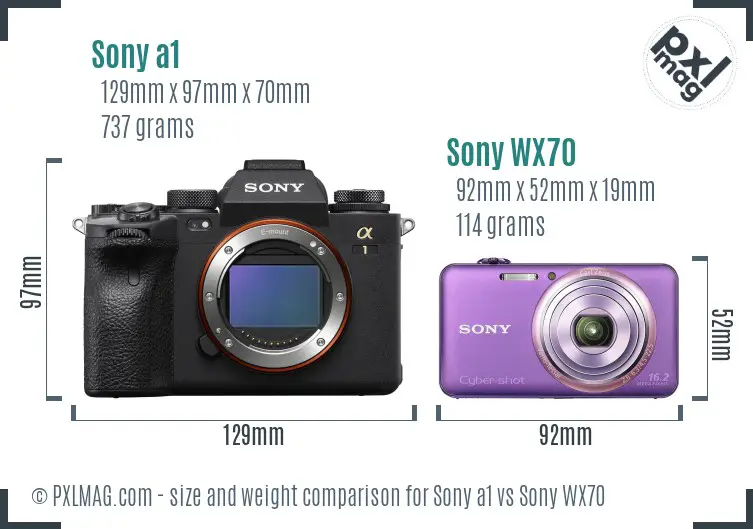 Sony a1 vs Sony WX70 size comparison