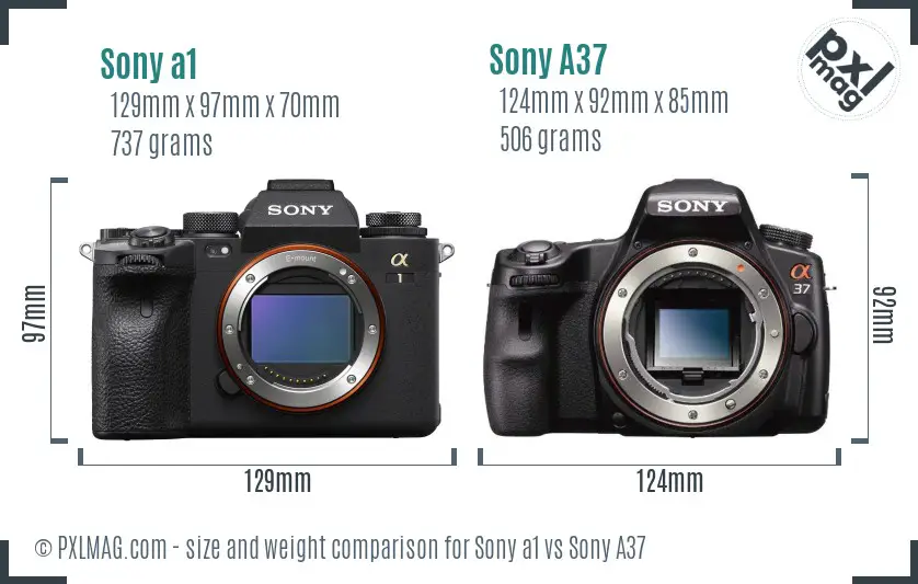 Sony a1 vs Sony A37 size comparison