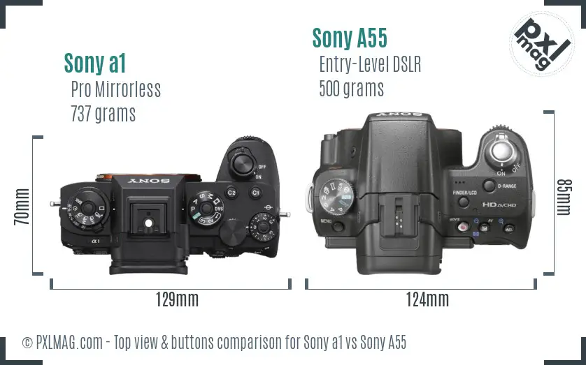 Sony a1 vs Sony A55 top view buttons comparison