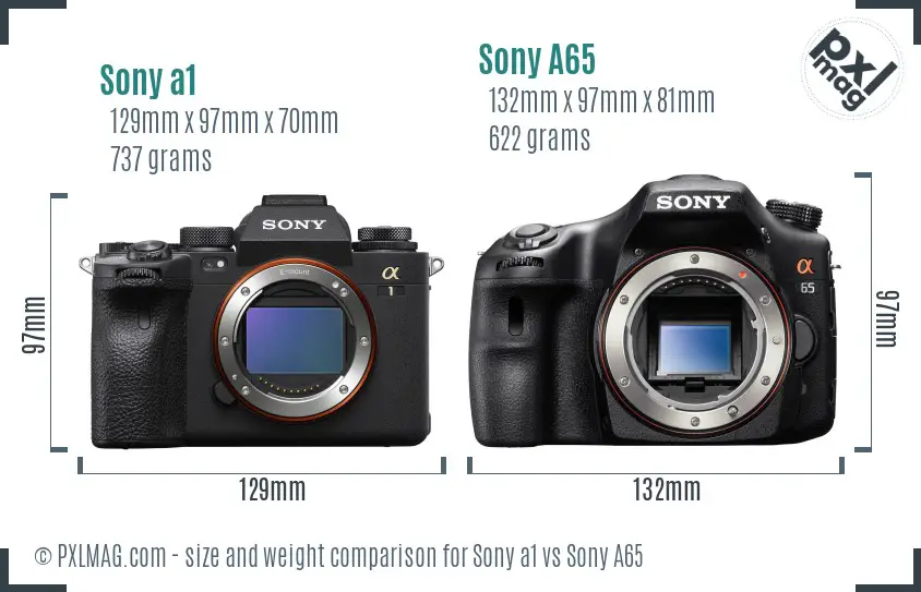 Sony a1 vs Sony A65 size comparison