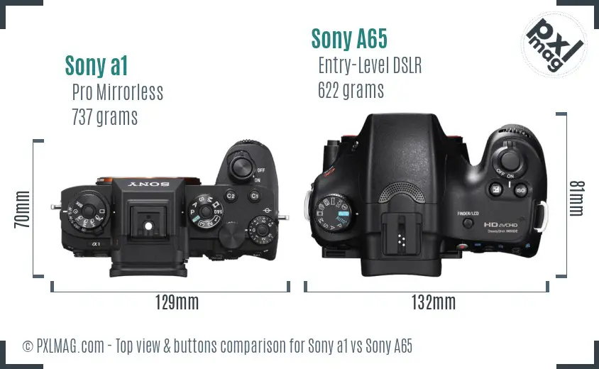 Sony a1 vs Sony A65 top view buttons comparison