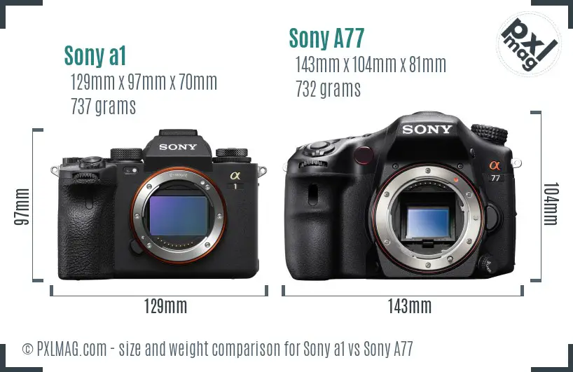 Sony a1 vs Sony A77 size comparison