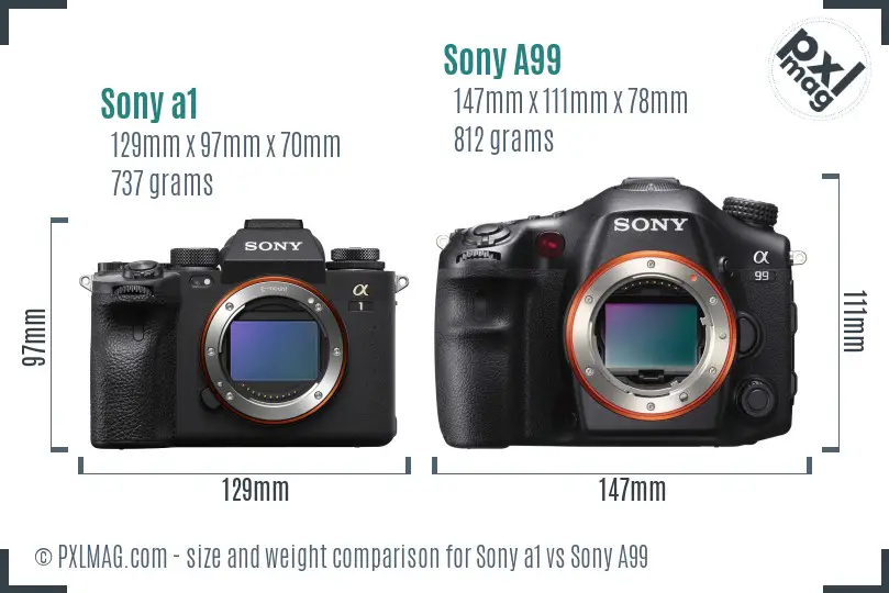 Sony a1 vs Sony A99 size comparison