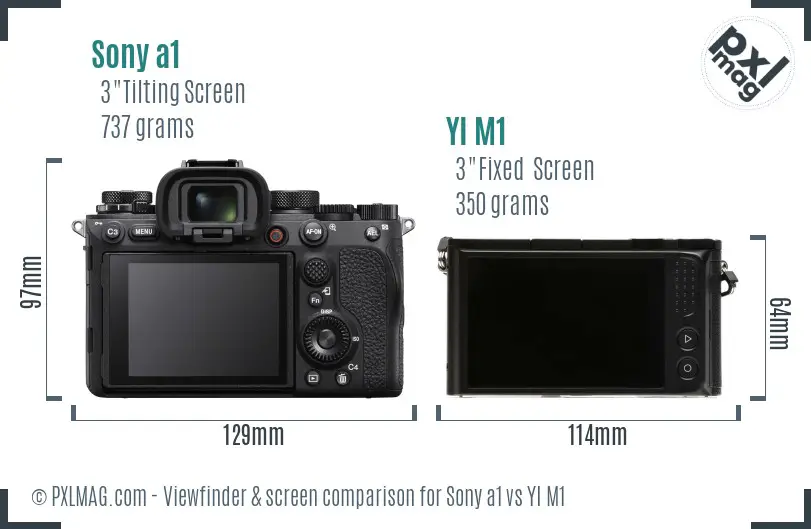 Sony a1 vs YI M1 Screen and Viewfinder comparison