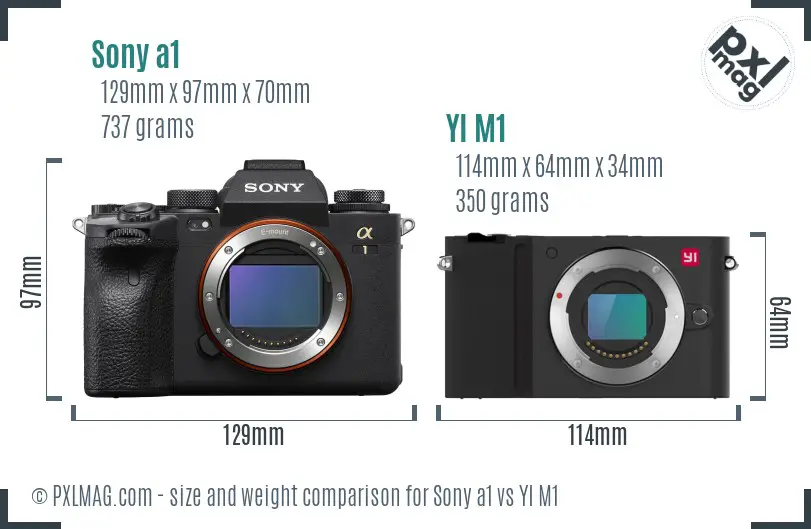Sony a1 vs YI M1 size comparison