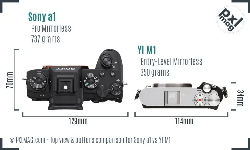 Sony a1 vs YI M1 top view buttons comparison