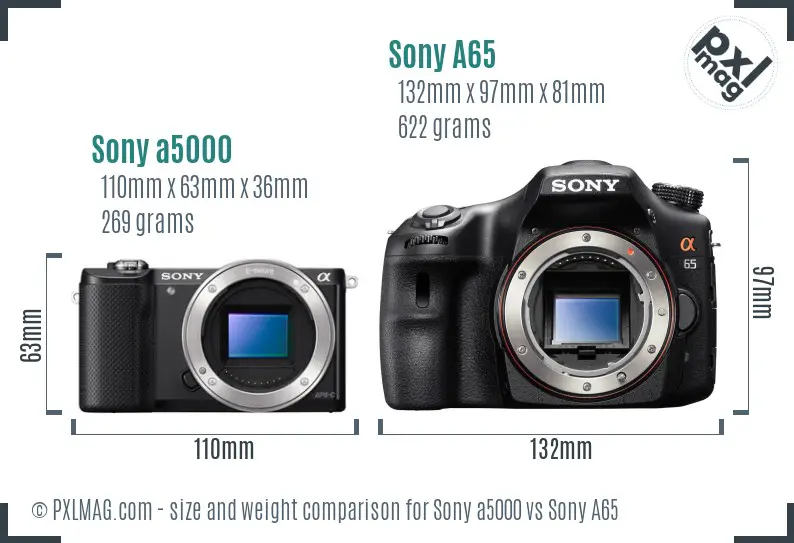 Sony a5000 vs Sony A65 size comparison