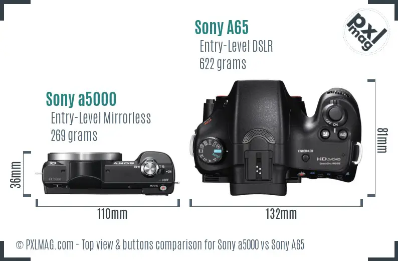 Sony a5000 vs Sony A65 top view buttons comparison