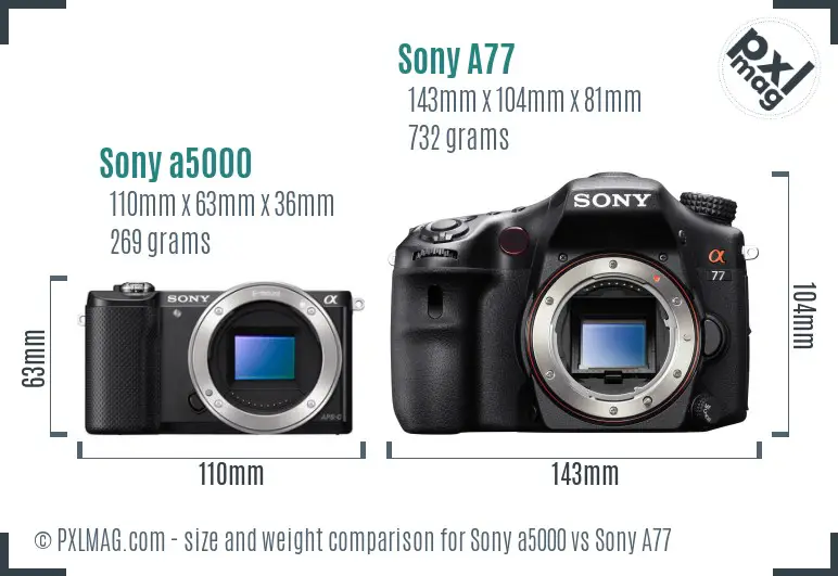 Sony a5000 vs Sony A77 size comparison