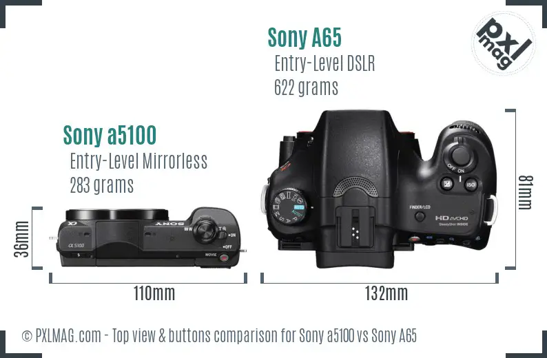 Sony a5100 vs Sony A65 top view buttons comparison
