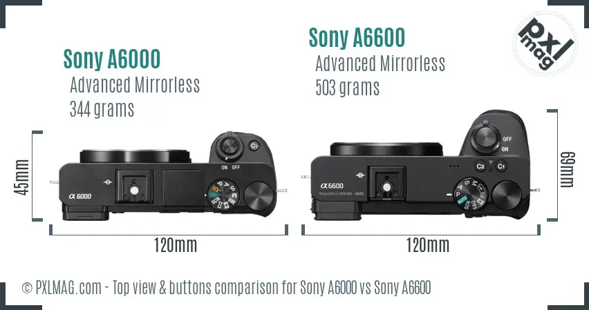 Sony A6000 vs Sony A6600 top view buttons comparison