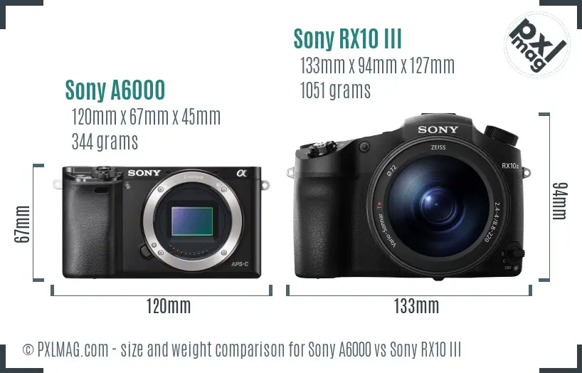 Sony A6000 vs Sony RX10 III size comparison