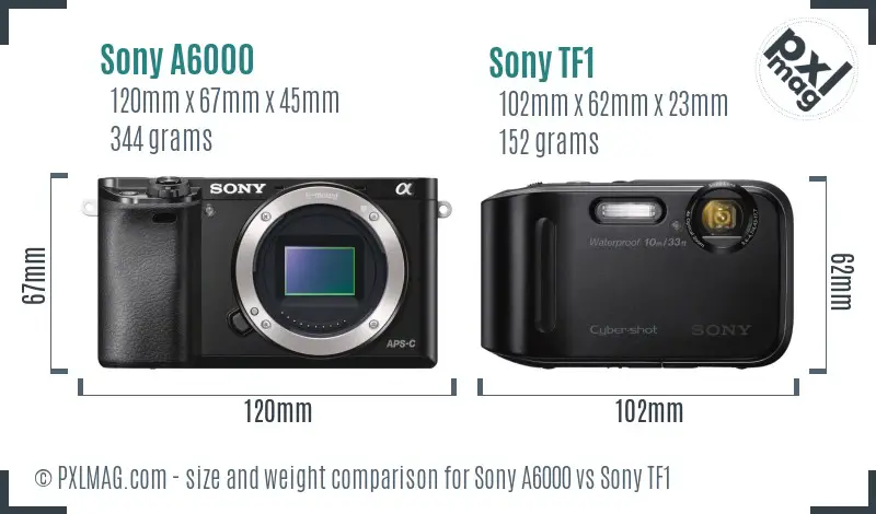 Sony A6000 vs Sony TF1 size comparison
