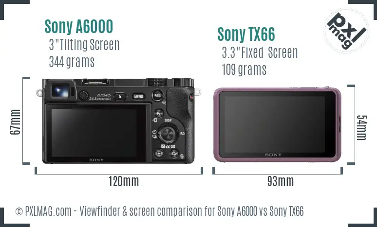 Sony A6000 vs Sony TX66 Screen and Viewfinder comparison